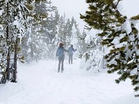 Skiers on trail near Artemisia Geyser by Diane Renkin. Original public domain image from Flickr