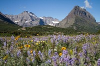 Many Glacier Valley at Glacier National Park. NPS Photo/David Restivo. Original public domain image from Flickr