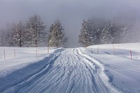 Snowy road leading into the steam near Mud Volcano by Jacob W. Frank. Original public domain image from Flickr