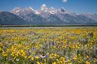 Grand Teton National Park