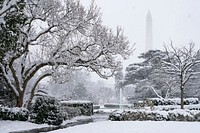 The White House Grounds Covered in Snow on January 13, 2019The Rose Garden of the White House is seen covered in snow Sunday, January 13, 2019. (Official White House Photo by Tia Dufour). Original public domain image from Flickr