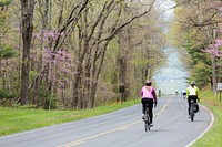 Ride the Drive, cycling event in a park. Free public domain CC0 photo.