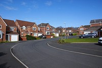 Suburban neighborhood. Free public domain CC0 photo.