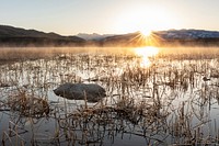 Sunrise at ephemeral ponds near Junction Butte. Original public domain image from Flickr