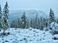 Winter Forest and Hills on the Willamette, Willamette National Forest. Original public domain image from Flickr