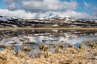 Sunny spring day at Swan Lake Flatsby Jacob W. Frank. Original public domain image from Flickr