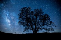 Carrizo Plain National Monument is one of the best kept secrets in California. Original public domain image from Flickr