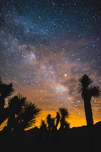 From March to May, the Milky Way is visible in the hours before sunrise.