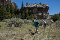 Wilderness volunteers working on a trail inDark Canyon Wilderness on the Moab/Monticello Ranger District, Manti- La Sal National Forest. Photo taken May 22, 2017. Forest Service photo by Charity Parks.. Original public domain image from Flickr