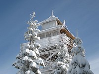 Snowy Trees at Warner Mountain Lookout Tower, Willamette National ForestWillamette National Forest. Original public domain image from Flickr