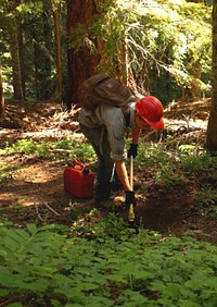 Willamette National Forest - Youth Conservation Corps Workers on Willamette-109. Original public domain image from Flickr