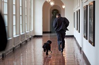 President Barack Obama runs down the East Colonnade with family dog, Bo, on the dog's initial visit to the White House, March 15, 2009.