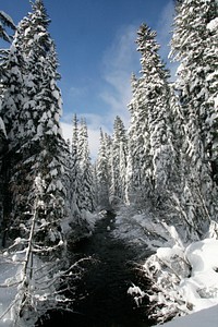 Salt Creek in Winter, Willamette National Forest. Original public domain image from Flickr