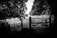 Farm fence in monotone. Original public domain image from Flickr
