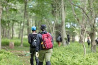 Groundwork RVA's Green Team at service learning camp in Shenandoah National Park Trust. Free public domain CC0 photo.