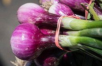 Red spring onions on sale by vendors at the U.S. Department of Agriculture (USDA) Farmers Market in Washington, D.C., on May 26, 2017.