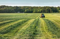 Truck picking up produces from the farm. Free public domain CC0 photo.