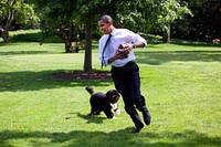 President Barack Obama, runs away from the family dog, Bo, during a brief break from meetings on the South Lawn of the White House May 12, 2009.
