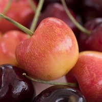 Today’s U.S. Department of Agriculture (USDA) Farmers Market VegUcation tent features cherries sampled with vanilla ice cream , at the USDA headquarters, in downtown Washington, D.C., on July 21, 2017.