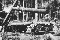 Railroad logging. Original public domain image from Flickr