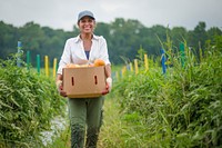 U.S. Department of Agriculture (USDA) Rural Development's (RD) Ingrid Ripley hauls out her picked tomatoes at Miller Farms in Clinton, Md., July 28, 2017 in support of the the 2017 Feds Feed Families campaign. USDA photo by Preston Keres. Original public domain image from <a href="https://www.flickr.com/photos/usdagov/36224627955/" target="_blank" rel="noopener noreferrer nofollow">Flickr</a>