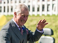 Charles, Prince of Wales. Original public domain image from Flickr