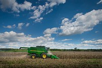 Navy-veteran Lenny Evans Miles, Jr. harvests corn from a 10 acre field of the 3,000 acre operation belonging to Bluestem Farms LLC, in Chestertown, Md.