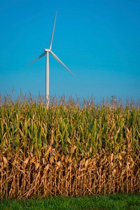 Wind turbines on the Bishop Hill wind farm operate among the corn and soybean fields near Bishop Hill, Ill., Sept. 14, 2017.USDA Photo by Preston Keres. Original public domain image from Flickr