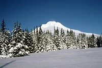 Mt Hood National Forest, Collins Lake. Original public domain image from Flickr