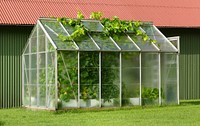 Small greenhouse. Free public domain CC0 photo.