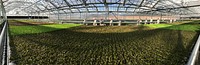 Lēf Farms President and CEO Henry Huntington leads U.S. Department of Agriculture (USDA) Secretary Sonny Perdue on a tour of the precision controlled hydroponic system, and sees that in the time it takes for a gutter of baby greens to travel from one end of a green house to the other, plants will grow from seed to a harvestable size, in Loudon, NH, on Sept. 1, 2017.