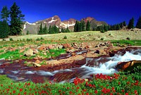 Deschutes National Forest Broken Top Soda Creek. Original public domain image from Flickr