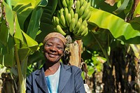 Banana farmer in Honde Valley, Zimbabwe Credit: USAID Zimbabwe June 2017 Doreen Hove. Original public domain image from Flickr