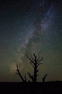 Skeleton at Night. Original public domain image from Flickr