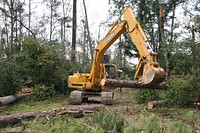 Tree removal. Original public domain image from Flickr