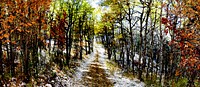 Autumn Alberta in Fish Creek Park. Original public domain image from Flickr