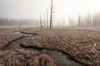 Foggy morning at Tangled Creek. Original public domain image from Flickr