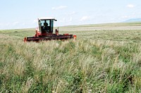 Swathing alfalfa/grass hay in CRP field, August 1994. Original public domain image from <a href="https://www.flickr.com/photos/160831427@N06/37951489805/" target="_blank" rel="noopener noreferrer nofollow">Flickr</a>