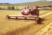 Harvesting winter wheat in McCone County (45 bu). August 1973. Original public domain image from <a href="https://www.flickr.com/photos/160831427@N06/37972598755/" target="_blank" rel="noopener noreferrer nofollow">Flickr</a>