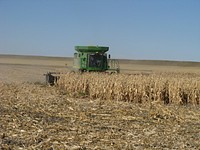 Dryland corn harvest northwest of Billings, MT in Yellowstone County, October 2013. By introducing dryland corn into their rotation these producers were able to break the normal conventional rotation. Original public domain image from <a href="https://www.flickr.com/photos/160831427@N06/37972530615/" target="_blank" rel="noopener noreferrer nofollow">Flickr</a>