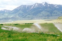 Sprinkler irrigation, Big Creek. June 1991. Original public domain image from Flickr