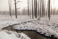 Sunrise at Tangled Creek. Original public domain image from Flickr