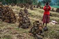 African girl collecting lava rocks, Kisoro, Uganda, September 2017.