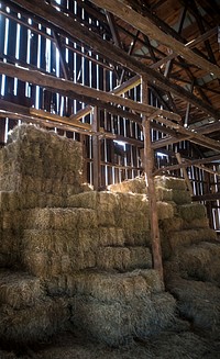 Chesapeake Bay Foundation Clagett Farm welcomes U.S. Department of Agriculture (USDA) Agricultural Outlook Forum (AOF) Farm Conservation Tour participants and gives them an overview of Clagett Farm and the conservation practices that have been implemented in partnership with Natural Resource Conservation Service (NRCS) in Upper Marlboro, Maryland, on Feb. 21, 2018.