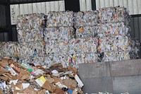 Paper and cardboard at Berkeley recycling center