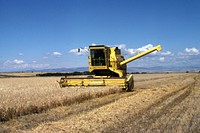 Harvesting wheat in Gallatin Valley, August 1980. Original public domain image from <a href="https://www.flickr.com/photos/160831427@N06/38808616392/" target="_blank" rel="noopener noreferrer nofollow">Flickr</a>