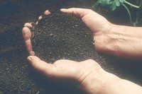 Close-up of hands holding soil. Original public domain image from Flickr