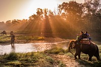 Elephants at sunset in Sauraha, Chitwan District, Nepal. November 2017.