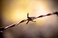 Barbed wire fence, security protection. Free public domain CC0 image