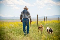 Dennis Kleinjan, rancher near Chinook, Mont., uses electric fence to divide his place into different pastures to rotate his cattle to better use his grazing land. June 2017. Blaine County, Montana. Original public domain image from <a href="https://www.flickr.com/photos/160831427@N06/39739984303/" target="_blank">Flickr</a>